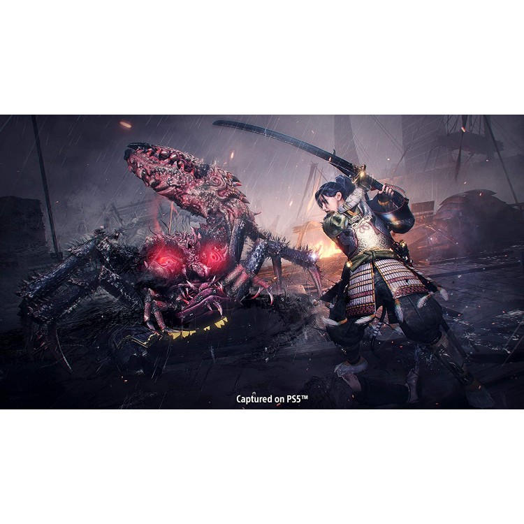 Dapigame-Nioh-Collection-3.jpg