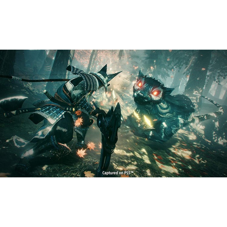 Dapigame-Nioh-Collection-4.jpg