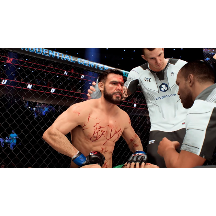 Dapigame-UFC-5-2.jpg