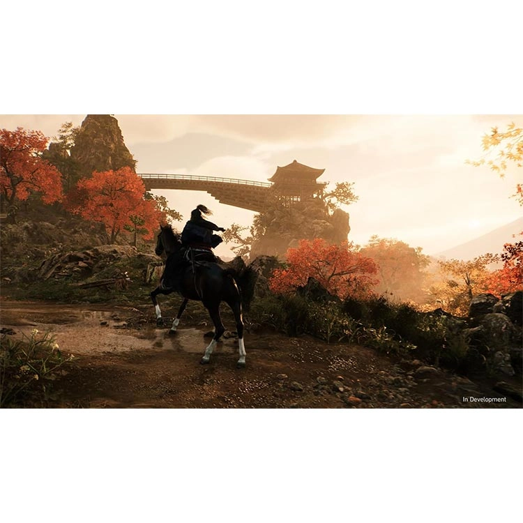 Dapigame-rise-of-ronin-3.webp